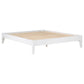 Hounslow Eastern King Universal Platform Bed White