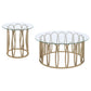 Monett 2-piece Coffee and End Table Set Chocolate Chrome