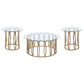 Monett 3-piece Coffee and End Table Set Chocolate Chrome