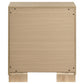 Arielle 2-drawer Bedroom Nightstand with Casters Light Oak