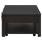 Marcelo Wood Coffee Table with 2 Drawers and Shelf Coffee