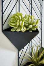 Load image into Gallery viewer, Ashley Express - Dashney Wall Planter
