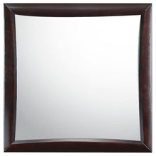 Load image into Gallery viewer, Phoenix Dresser Mirror Cappuccino
