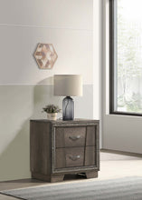 Load image into Gallery viewer, Janine 2-drawer Nightstand Grey
