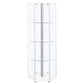 Zahavah 4-shelf Hexagonal Clear Glass Curio Cabinet White