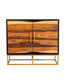 Zara 2-door 40-inch Wood Accent Storage Cabinet Black Walnut